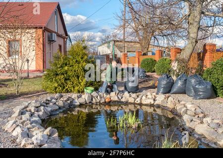 L'uomo pulisce un laghetto del giardino da foglie e mette cadenti in un sacchetto di spazzatura Foto Stock