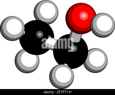 Molecola di alcol (etanolo, alcol etilico), struttura chimica. Rendering 3D. Gli atomi sono rappresentati come sfere con codifica a colori convenzionale: Idrogeno Illustrazione Vettoriale