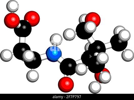 Molecola di vitamina B5 (acido pantotenico, pantotenato). Rendering 3D. Gli atomi sono rappresentati come sfere con codifica a colori convenzionale: Idrogeno (bianco), Illustrazione Vettoriale