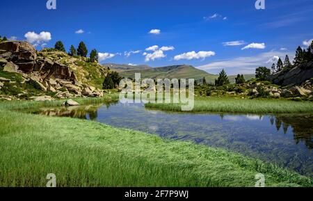 Estany primer de Pessons lago in una mattina estiva (Andorra, Pirenei) ESP: Estany primer de Pessons, una mañana de verano (Andorra, Pirineos) Foto Stock