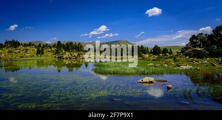 Estany primer de Pessons lago in una mattina estiva (Andorra, Pirenei) ESP: Estany primer de Pessons, una mañana de verano (Andorra, Pirineos) Foto Stock