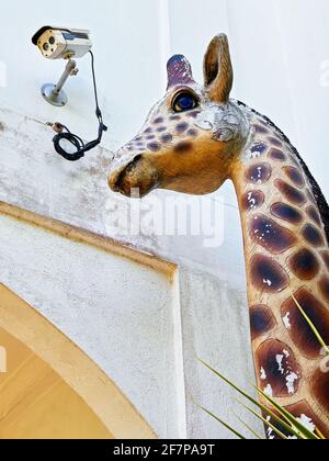 Vista ravvicinata di un'antica scultura di giraffa accanto a un muro di un edificio pubblico, con una telecamera di sicurezza attaccata ad esso, Filippine, Asia Foto Stock