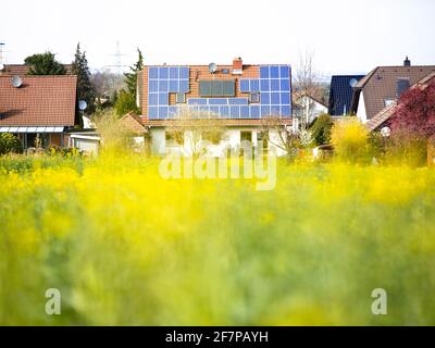 Sistema fotovoltaico e sistema solare termico sul tetto di Una casa singola situata alla periferia del villaggio Con campo di colza adiacente Foto Stock