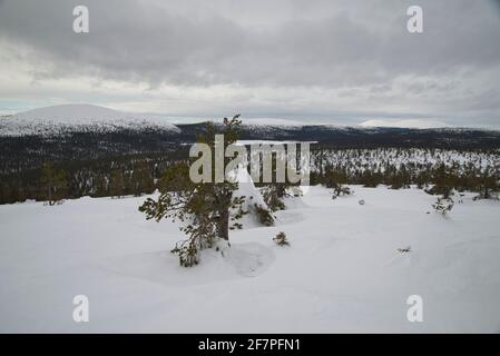 Keimiötunturi, Sammaltuturi e Pallastunturi si trovano nel Parco Nazionale Pallas-Yllästunturi, Muonio, Lapponia, Finlandia Foto Stock