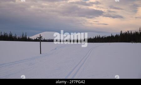 Pallas in primavera, Parco Nazionale Pallas-Yllästunturi, Muonio, Lapponia, Finlandia Foto Stock