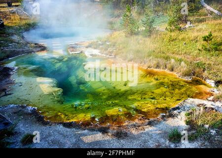 Piscina con sismografo nel parco nazionale di Yellowstone. Wyoming. STATI UNITI. Foto Stock