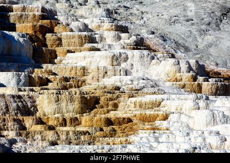 Molle palette. Diavoli pollice alle sorgenti termali di Mammoth. Parco nazionale di Yellowstone. Wyoming. STATI UNITI. Foto Stock