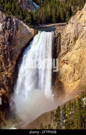 Grand Canyon Artist Point nel Parco Nazionale di Yellowstone. Wyoming. STATI UNITI. Foto Stock