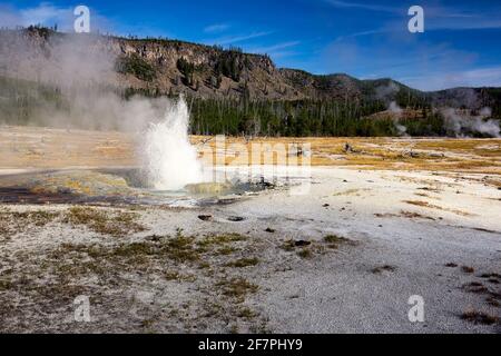 Bacinella di sabbia nera. Jewel Geyser nel Parco Nazionale di Yellowstone. Wyoming. STATI UNITI. Foto Stock