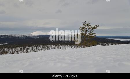 Pallas in primavera, Parco Nazionale Pallas-Yllästunturi, Muonio, Lapponia, Finlandia Foto Stock