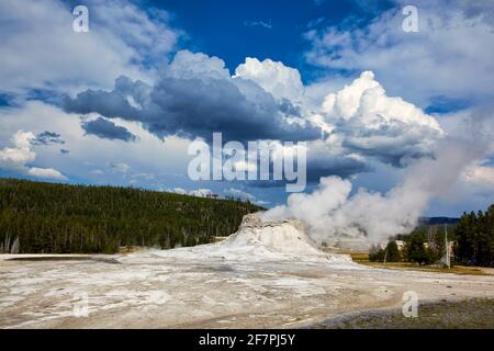 Castello Geyser nel Parco Nazionale di Yellowstone. Wyoming. STATI UNITI. Foto Stock