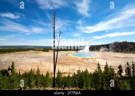 Grande primavera prismatica nel Parco Nazionale di Yellowstone. Wyoming. STATI UNITI. Foto Stock