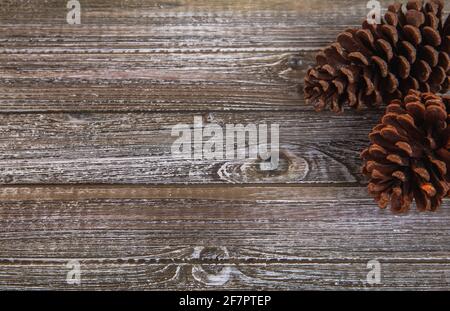 coni di pino sul lato destro di un legno scuro superficie Foto Stock