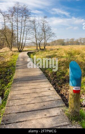 Cartello per il famoso percorso a piedi Pieterpad a Drenthe, Paesi Bassi Foto Stock