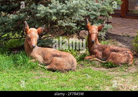 Wild Deer Fawn sotto i rami di pino in una giornata di sole sul prato. Ritratto di Roe Deer Fawn artificiale Foto Stock