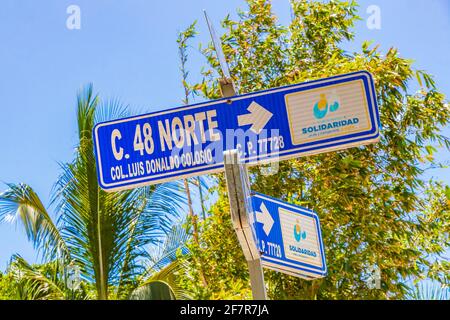 Indicazioni stradali blu per l'orientamento di strade con palme a Playa del Carmen Messico. Foto Stock