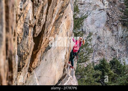 Donna rock climber la naviga su una parete rocciosa in Golden, CO Foto Stock