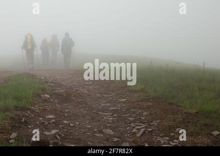 Gruppo di turisti che vanno con zaini e bastoni in profonda nebbia in montagna. Carpazi, Ucraina. Foto Stock