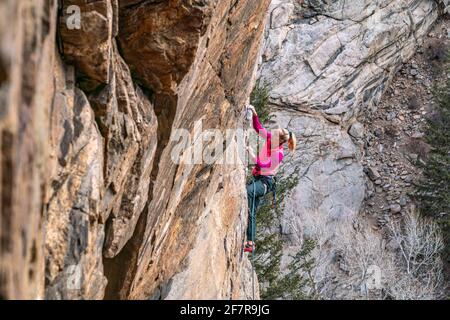 Donna rock climber la naviga su una parete rocciosa in Golden, CO Foto Stock