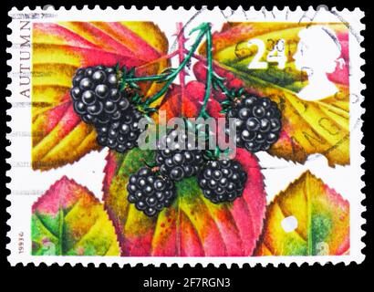 MOSCA, RUSSIA - 17 GENNAIO 2021: Francobollo stampato nel Regno Unito mostra Autunno - BlackBerry, la serie Four Seasons, circa 1993 Foto Stock