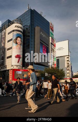 Vista ravvicinata verticale del traffico pedonale e del trambusto di Shibuya Crossing al tramonto, Shibuya, Tokyo, Giappone Foto Stock