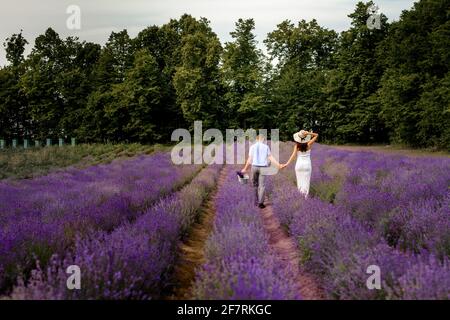 Fragrante lavanda, un campo di cespugli di lavanda, una passeggiata di una coppia felice che aspetta la nascita di un bambino. Nuovo Foto Stock