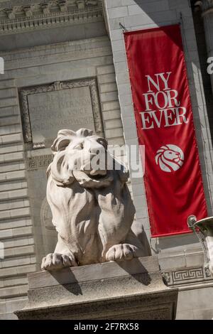 Lion di fronte alla New York Public Library con il banner 'NY Forever' sullo sfondo, NYC, USA Foto Stock