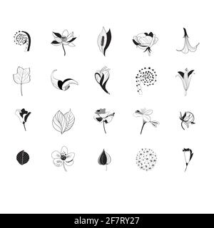 Insieme di icone grafiche di fiori e piante su sfondo bianco. Illustrazione Vettoriale