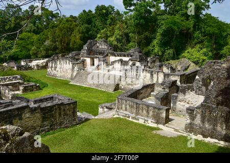 Acropoli centrale a Tikal, Guatemala Foto Stock