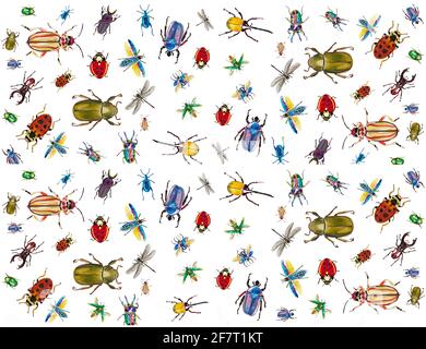 insetti e bug pattern per carte tessuti pianeta Foto Stock