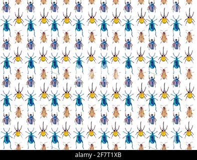 insetti e bug pattern per carte tessuti pianeta Foto Stock