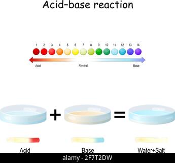 Reazione acido-base reazione chimica tra un acido e una base. Utilizzata per determinare il pH. Teoria di Bronsted-Lowry. Scala di pH. Risultati del test della carta tornasole Illustrazione Vettoriale