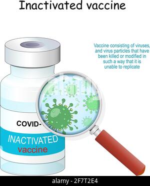 Covid-19 coronavirus. Vaccino inattivato flaconcino di vaccino e lente di ingrandimento con ingrandimento di virus e particelle di virus che sono state uccise Illustrazione Vettoriale