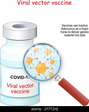 Covid-19 coronavirus. Vaccino vettoriale virale flaconcino di vaccino e lente di ingrandimento con ingrandimento di adenovirus che utilizzano per fornire materiale genetico Illustrazione Vettoriale