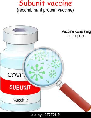 Covid-19 coronavirus. Vaccini proteici ricombinanti. Vaccino a subunità costituito da antigeni. Flaconcino di vaccino e lente di ingrandimento. Illustrazione vettoriale Illustrazione Vettoriale
