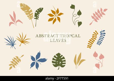Piante tropicali, foglie. Oggetti natura estate. Jungle, stile moderno e alla moda. Impostare gli elementi per la progettazione di schede, poster e banner vettoriali illustrativi Illustrazione Vettoriale