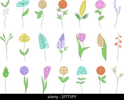 Set di semplici contorni minimalistici disegnano fiori colorati. Collezione floreale, erbe, foglie. Vettore di stile piatto. Botanica, piante icone. Elementi per d Illustrazione Vettoriale