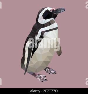 pinguino magellanico in illustrazione vettoriale a bassa tecnica poly Illustrazione Vettoriale