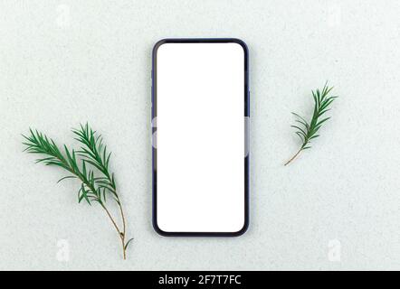 Modello per smartphone Office, sfondo floreale con foglie verdi, spazio per la copia e foto con vista dall'alto Foto Stock