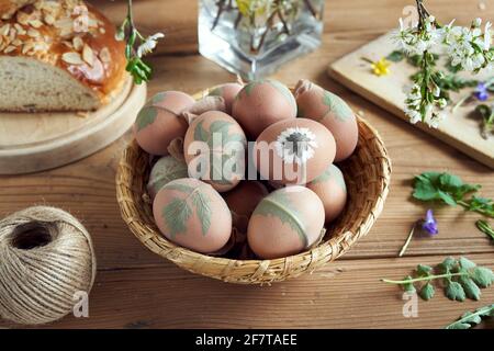 Preparazione delle uova di Pasqua per la tintura con bucce di cipolla con un modello di piante fresche in un cesto Foto Stock