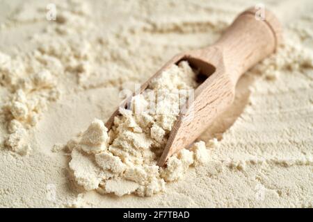 Polvere di proteina del siero di latte in una paletta Foto Stock