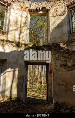 Vista attraverso i fori per porte e finestre in un rovina abbandonata nei boschi Foto Stock