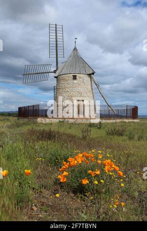 Moulin de Claira, un mulino a vento completamente restaurato a Claira, dipartimento dei Pirenei Orientali, Francia meridionale Foto Stock