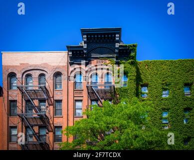 New York City, USA, maggio 2019, vista di un edificio in mattoni rossi del 1890 con scappate dal fuoco e piante rampicanti nel quartiere di Chelsea