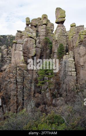 Chiricahua National Monument Foto Stock