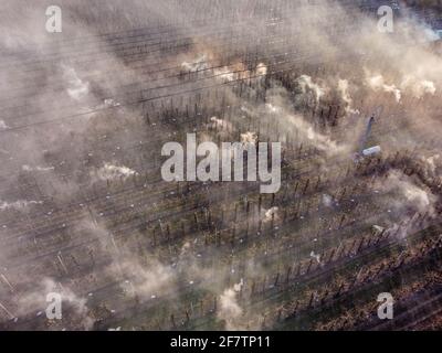 Dunajska Luzna, Slovacchia. 09 aprile 2021. (NOTA DELL'EDITORE: Immagine scattata con un drone)una vista aerea su un frutteto con fuochi. Come ciliegi, mela e pera alberi stanno germogliando centinaia di fuochi sono illuminati in frutteti per creare calore e proteggere i germogli, parte di loro spruzzato con acqua durante la notte. Gli agricoltori devono trascorrere molte notti mantenendo i germogli vivi. Credit: SOPA Images Limited/Alamy Live News Foto Stock