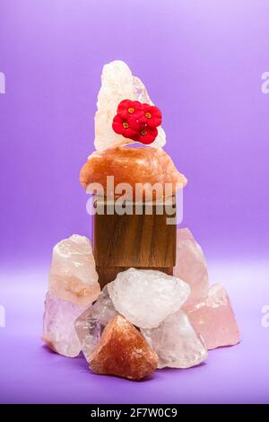 Grandi pezzi di sale marino dell'Himalaya e di un fiore rosso del deserto sono accatastati su di un supporto di legno. Grandi pezzi di sale circondano la base per forza. Foto Stock