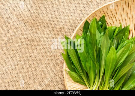 Portare aglio o cipolla. Fonte naturale di vitamine. Cibo sano, dieta. Foto Stock