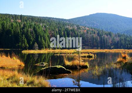 Lago Moraine Kleiner Arbersee con il monte Gross Arber nel parco nazionale della foresta bavarese. Paesaggio autunnale in Germania. Foto Stock