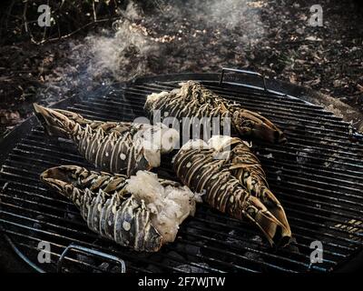 Aragoste spinose cucinate e grigliate su un barbecue in un giardino Foto Stock